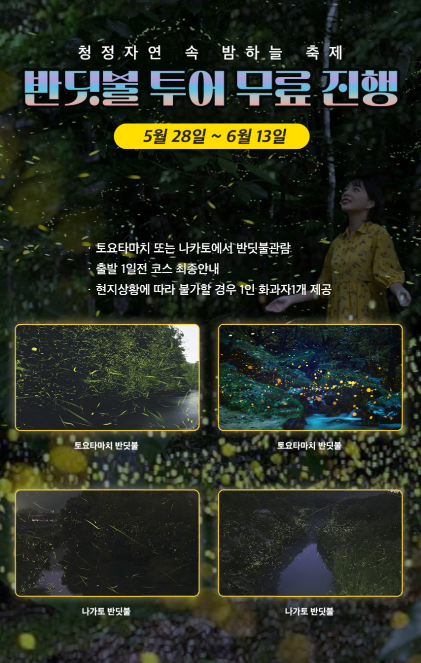 일본 현지에서 즐기는 계절별 자연 관광 풍경