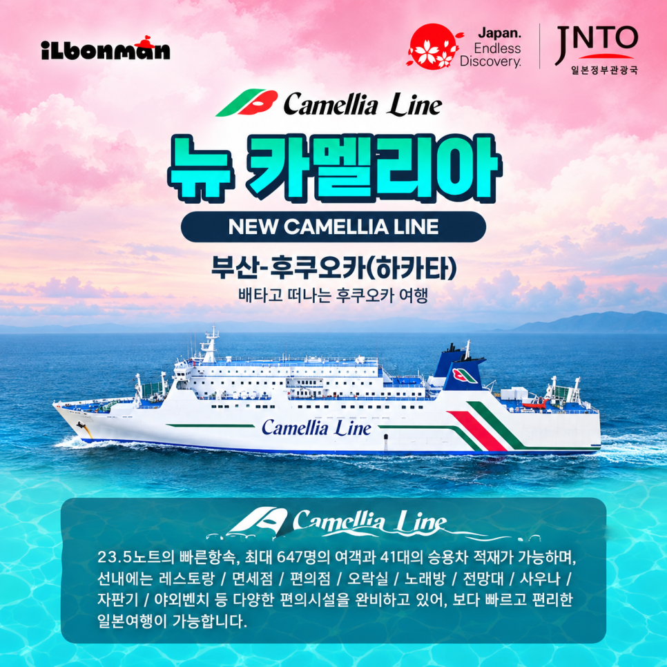 뉴카멜리아 정보